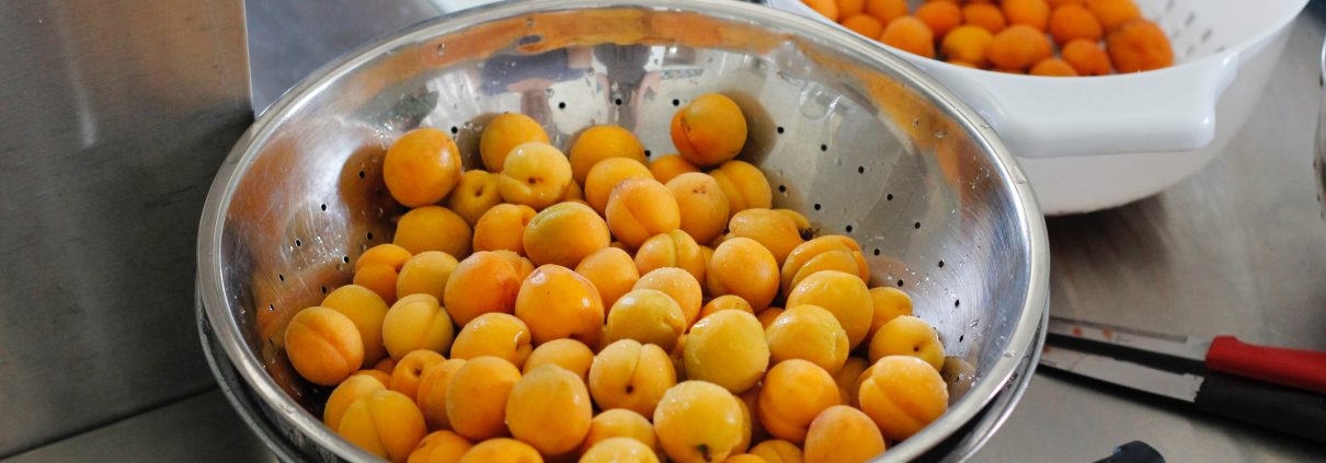 Social Enterprise, apricots ready to dry